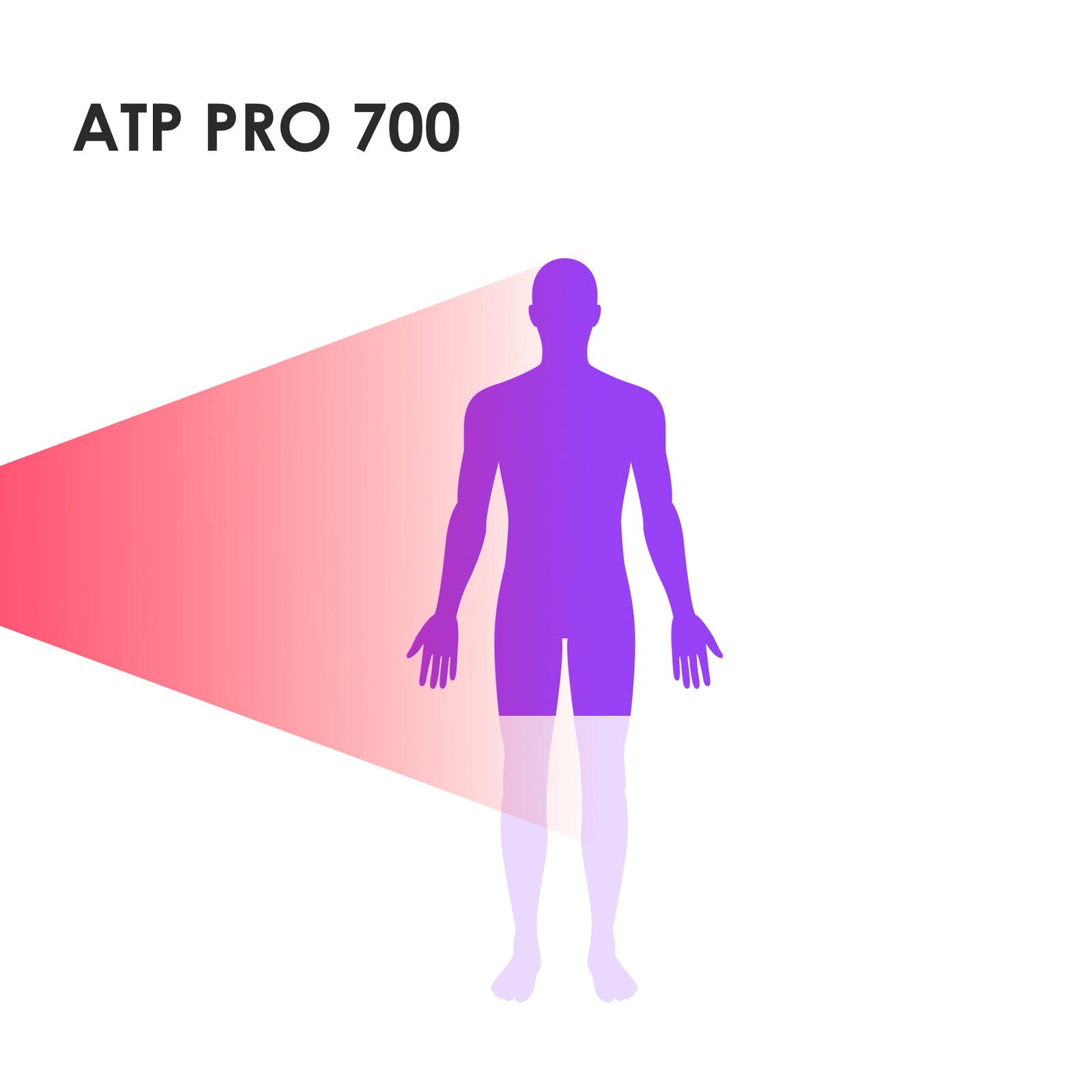 ATP Pro Essential sett: ATP Pro 700 + stativ