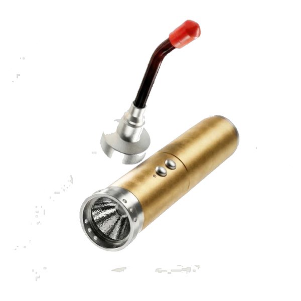 ReviveTorch